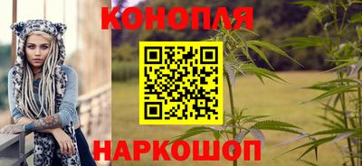 сатива Гусев