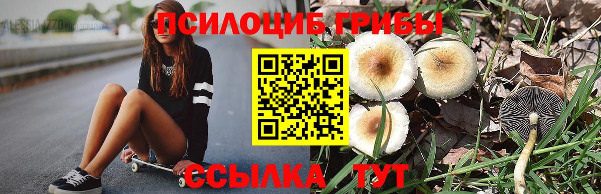 Котельники  Галлюциногенные грибы MAGIC MUSHROOMS  Вход с VPN  Псилоцибиновые грибы ЛСД 